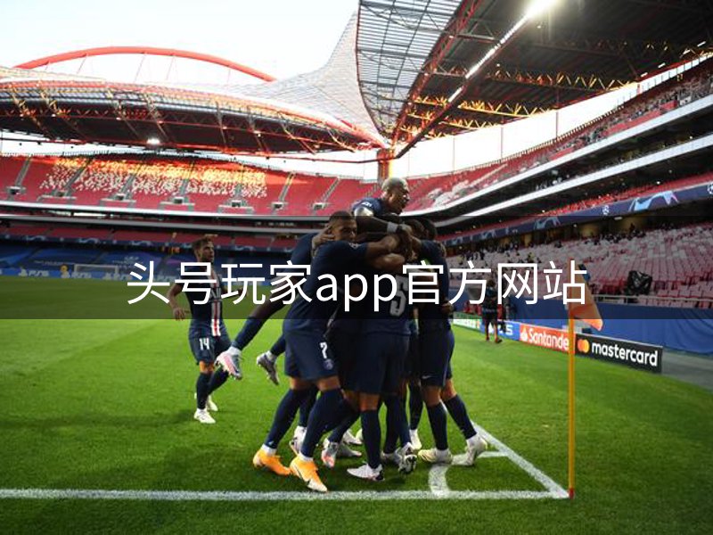 公司定位